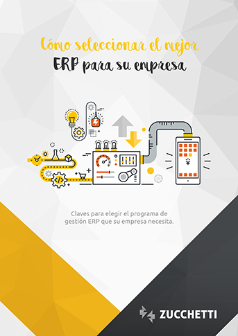 guias erp solmicro | guias erp solmicro